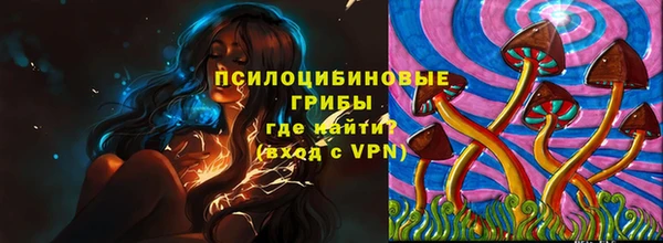 ГАЛЛЮЦИНОГЕННЫЕ ГРИБЫ Верхнеуральск