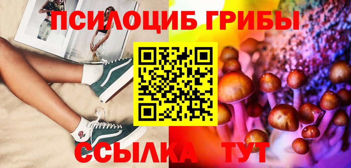 Галлюциногенные грибы Cubensis  Вход с VPN  Рузаевка 